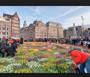 Nationale Tulpendag 2017 thema Dutch design