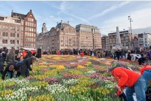 Nationale tulpendag Amsterdam