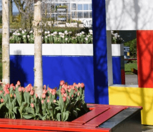 Mondriaan tot Dutch Design