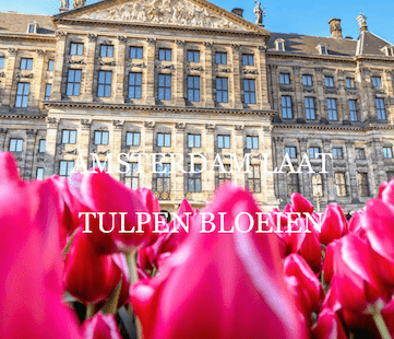 Amsterdam Tulp festival: Dutch design