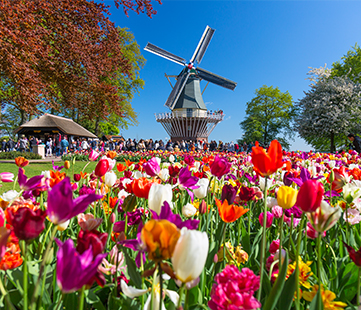 Holland Design & Gifts verheugt zich op de opening van de Keukenhof 2019