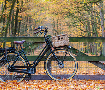 Fiets de mooiste fietsroutes voor de herfst met de tips van Holland Design & Gifts!