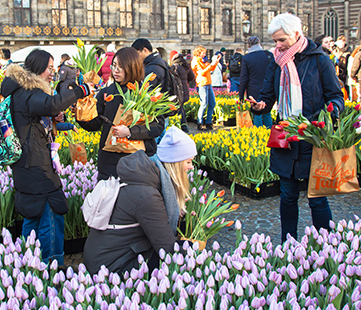 Holland Design & Gifts wenst je een fijne Nationale Tulpendag 2020!